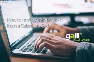 How to retrieve information from a Selenium Grid
